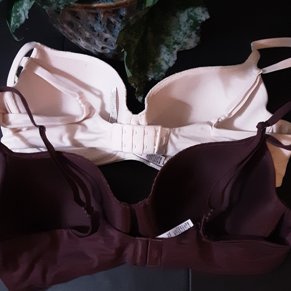 Pair of 38C bras - Picture 3 of 6